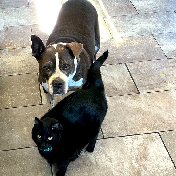 Meet your Posher, Jamie - Picture 1 of 1